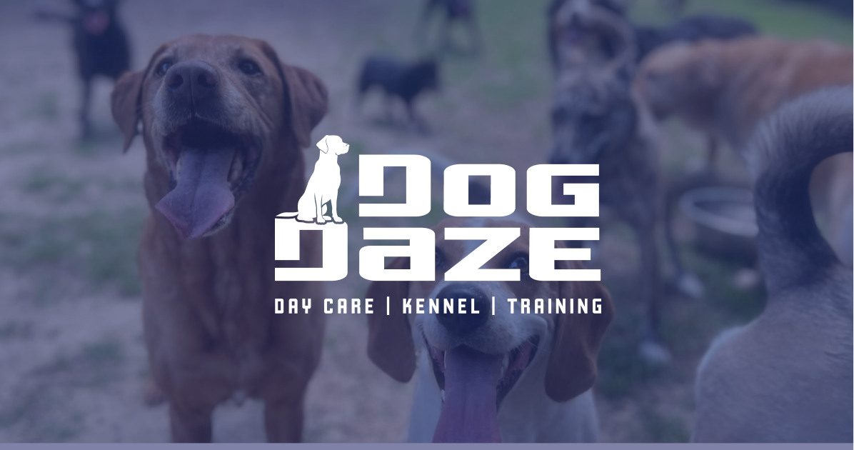 Dog Daze Pet Exec Login